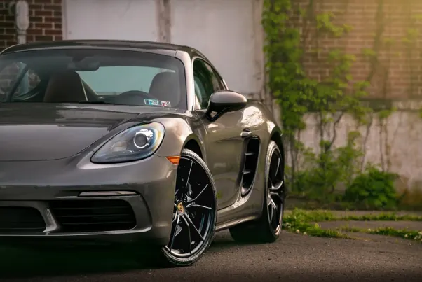 Casino Spin Pug Android/iOS aplikacija